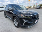 2024 Honda Pilot EX-L 8 Passenger