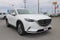 2019 Mazda Mazda CX-9 Signature